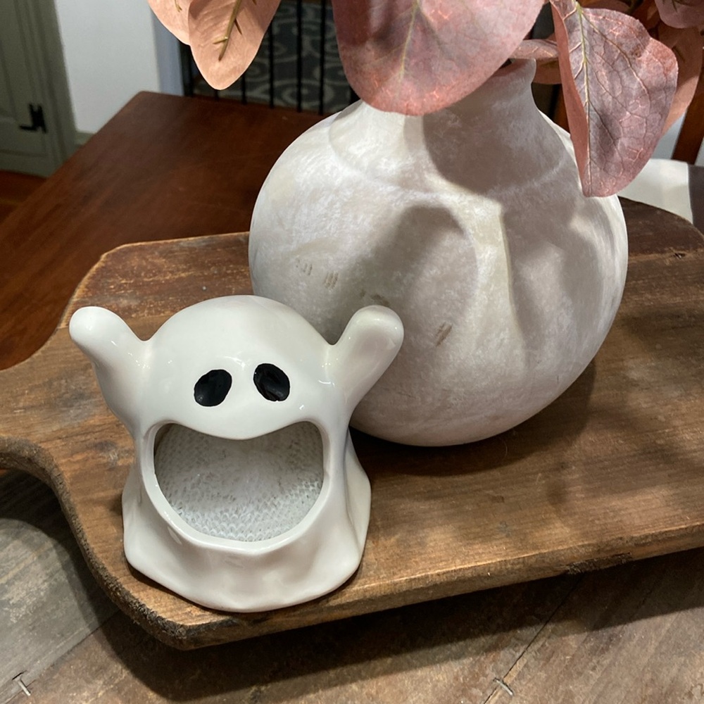 NWT Ghost Dish Scrubby and Holder